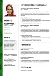 Dalston - Modèle gratuit de Curriculum Vitae élégant - Vert