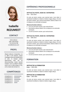 Ikebukuro - Modèle gratuit de Curriculum Vitae élégant - Gris