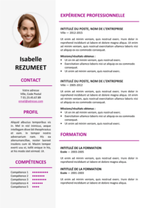 Ikebukuro - Modèle gratuit de Curriculum Vitae élégant - Violet