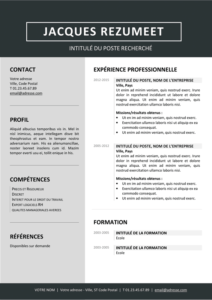 Jordaan - Modèle gratuit de Curriculum Vitae moderne - Gris