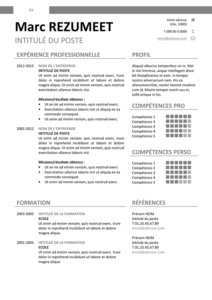 Montjuic - Modèle gratuit de Curriculum Vitae clair et simple - Gris