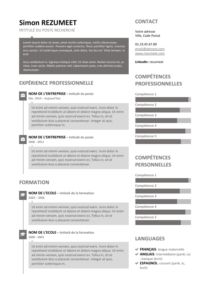 SoHo - Modèle gratuit de CV avec Bulles - Gris