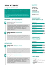 SoHo - Modèle gratuit de CV avec Bulles - Vert