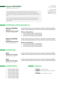 Ueno – Modèle de CV Professionnel Gratuit - Version Vert