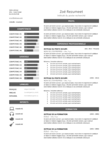 Zeeburg – Modèle de CV Classique - Gris