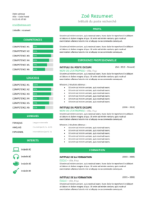Zeeburg – Modèle de CV Classique - Vert
