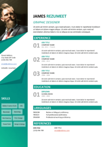Brandberg Resume Template for Word (DOCX)